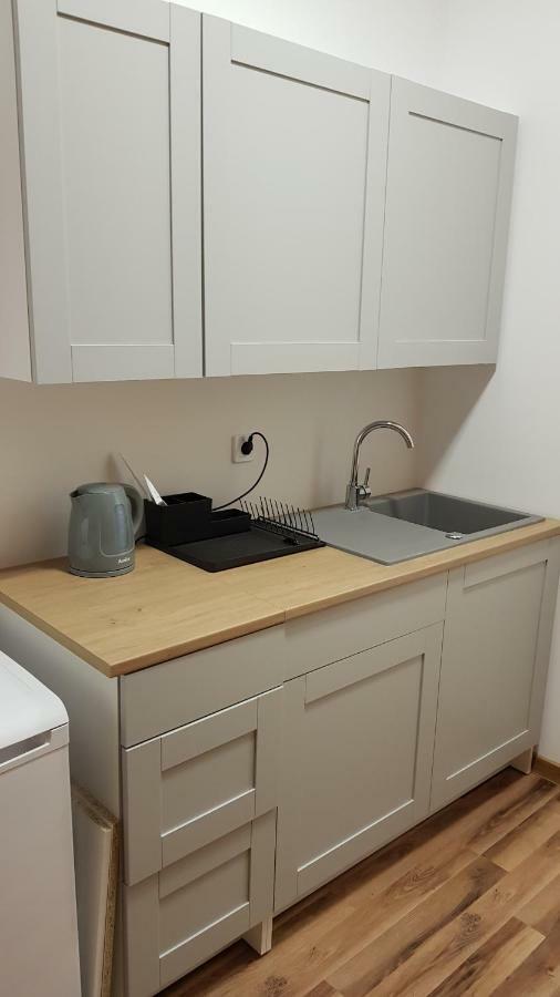 Apartament Nr 15 - 2 Pokoje Z Prywatnymi Lazienkami Centrum Poznań Eksteriør billede